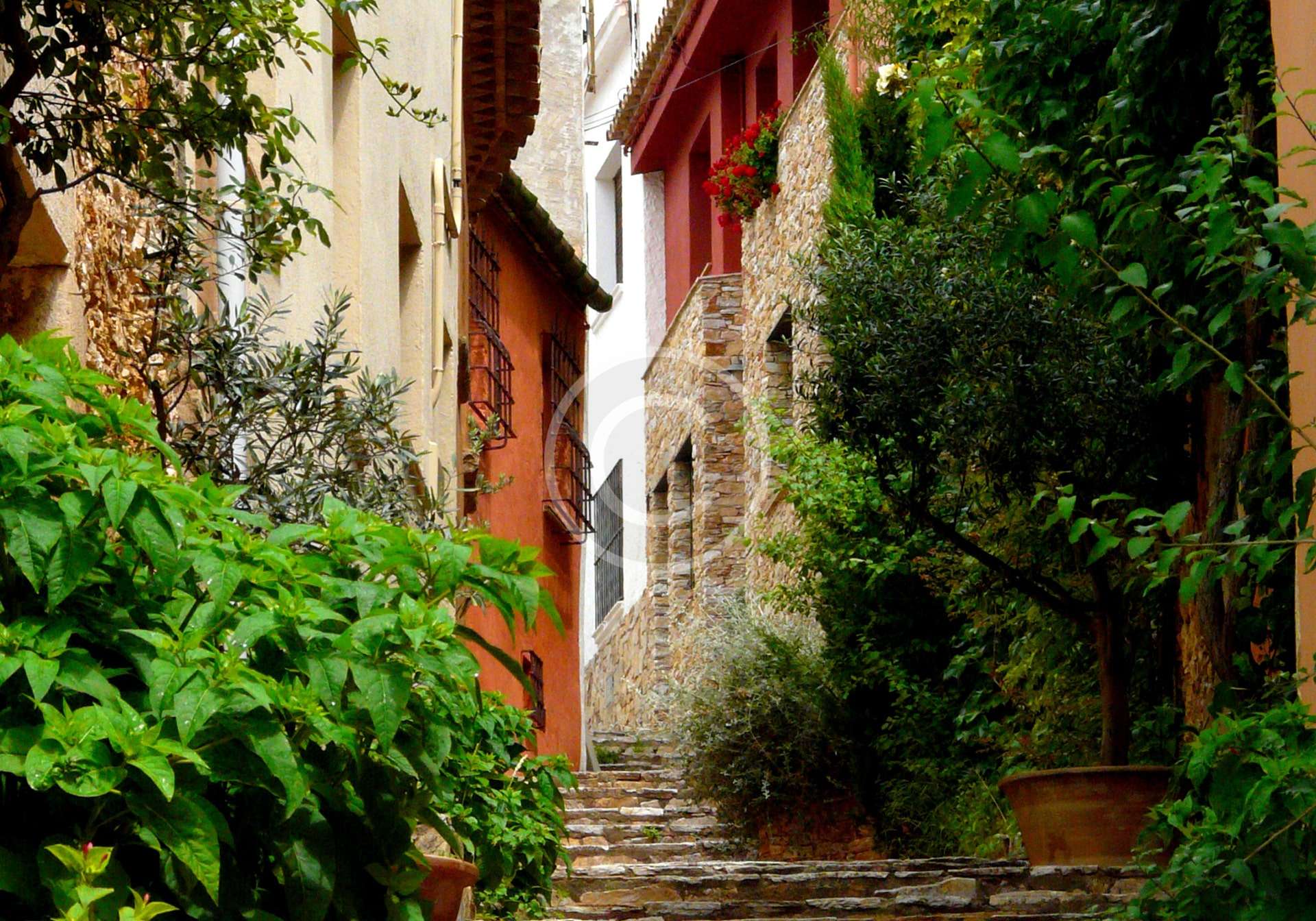 Old Town Architectural Tour